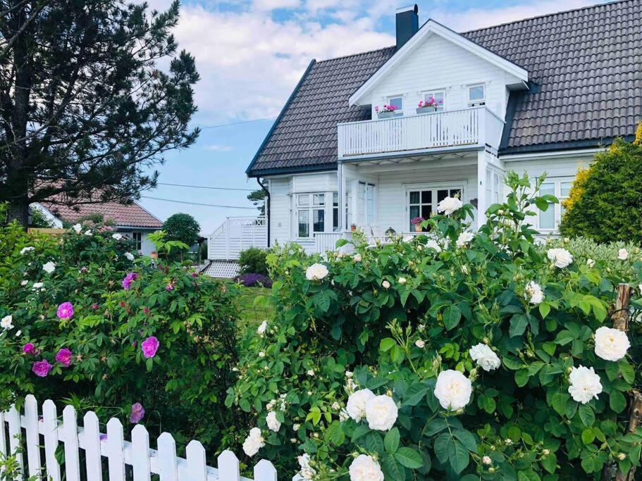 Lenes Hus Villa Halden Eksteriør bilde